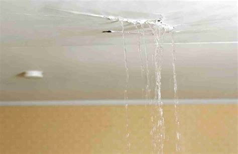 ceiling leaking from bathroom upstairs|Why Is Water Leaking Through The Ceiling After A。